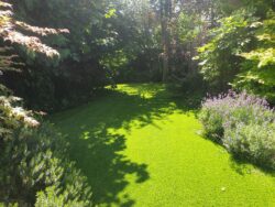 Transforming Outdoor Spaces: A Showcase of Our Artificial Grass Installation Success Stories 3
