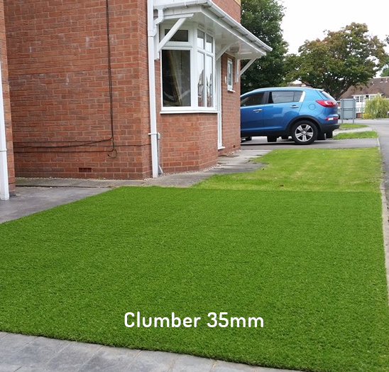 clumber artificial grass
