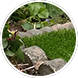 artificial grass supply and fit