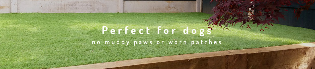 artificial grass perfect for dogs